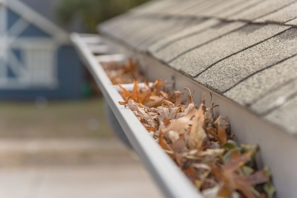 Leaf Barrier Installation in Kansas City