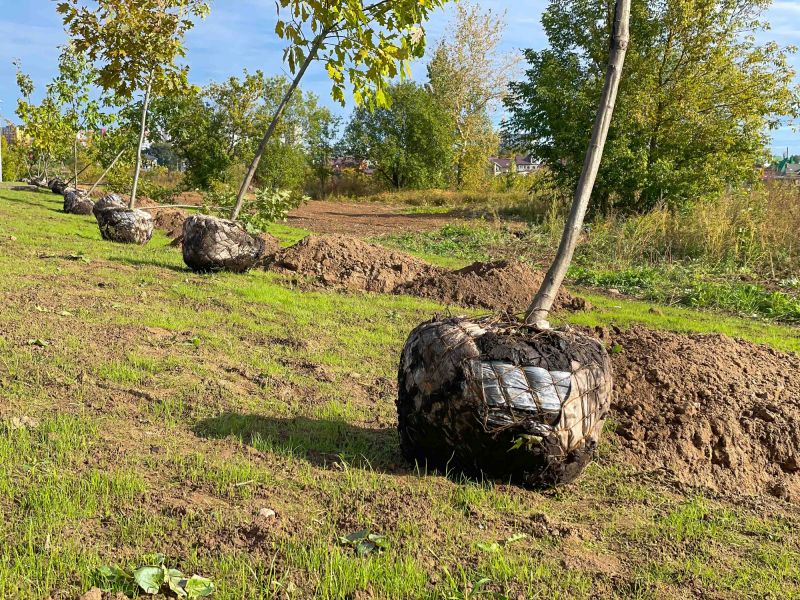 Leaf Barrier Installation